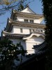 関宿城博物館の写真のサムネイル写真16