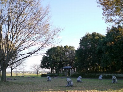関宿にこにこ水辺公園の写真4