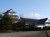 関宿にこにこ水辺公園の写真のサムネイル写真13