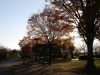 関宿にこにこ水辺公園の写真のサムネイル写真15