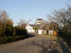 関宿にこにこ水辺公園の写真のサムネイル写真21